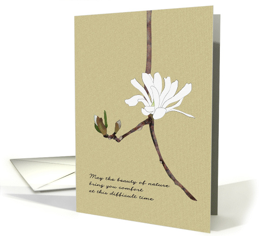 Encouragement at a Difficult Time Separation Magnolia Flower card