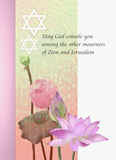 Delicate Lotus...