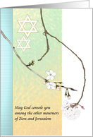 Delicate White Blossoms Star of David May HER Memory be a Blessing card