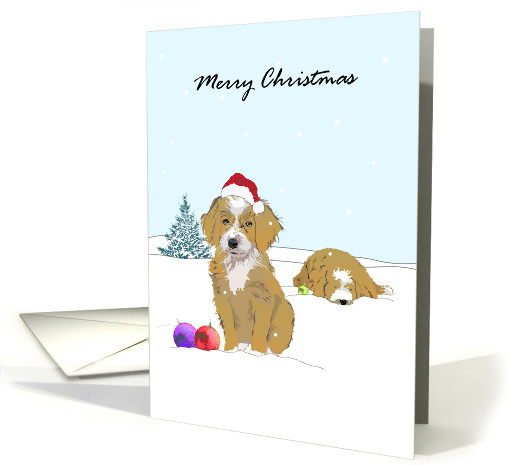 Brown Bernedoodle Dogs Out in the Snow Christmas card (1712194)