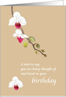 1st Birthday Alone Bereaved Loss of Husband Spray of Orchids card