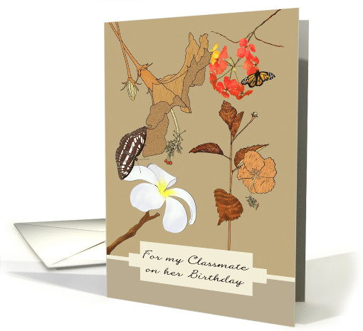 Birthday for Female Classmate Flowers and Butterflies card (1715844)