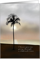 Support for Divorced Lone Coconut Tree on Beach Evening Sky card