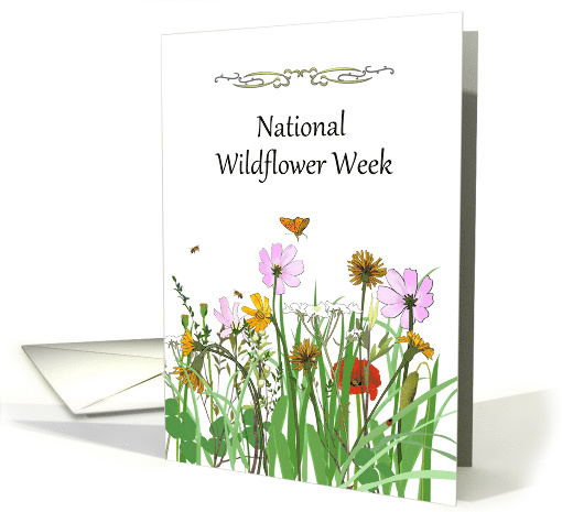 National Wildflower Week Flowers that Color our Landscapes card