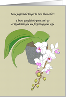 Remembering Late Wife Pink White Orchids in a Pot card