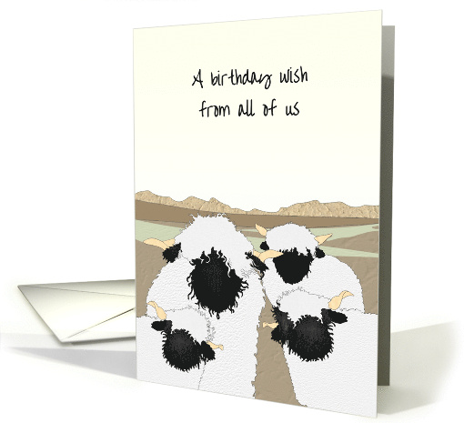 Birthday From All of Us Blacknose Sheep on High Ground card (1722512)
