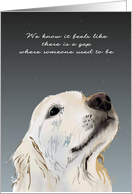 Loss of Family Pet Put to Sleep Labrador Dog Looking Up at Night Sky card