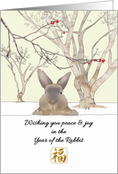 Rabbits Having Fun in the Snow Chinese New Year of the Rabbit 2035 card