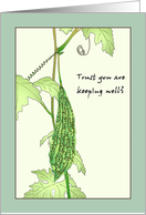 Keep Well Diabetic Bitter Gourd On The Vine card