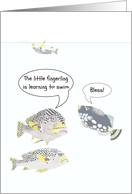 Learning To Swim Fish Looking At Fingerling Floating Blowing Bubbles card