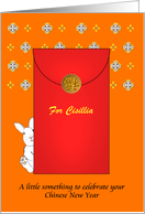 Chinese New Year of the Rabbit Money Gift Angpow Custom card