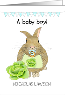 New Baby Boy Cute Baby Rabbit With Pacifier and Bib Congratulations card