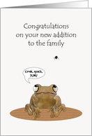 New Pet Cartoon Toad Eyeing Delicious Fly card