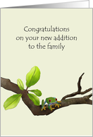 New Pet Frog Resting On A Branch card