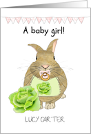 New Baby Girl Cute Baby Rabbit With Pacifier and Bib Congratulations card