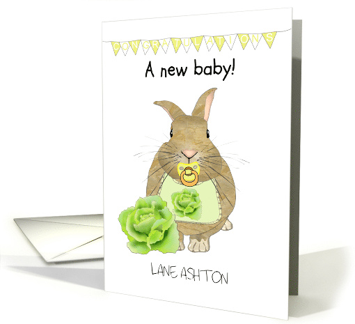 New Baby Cute Baby Rabbit With Pacifier and Bib Congratulations card