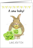 New Baby Cute Baby Rabbit With Pacifier and Bib Congratulations card