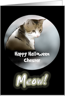 Halloween For Cats Partial Profile Of Cat In The Night Custom card