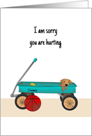 Sorry You Are Hurting Sympathy For Male Child Puppy Sitting In Cart card