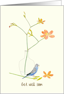 Blue Parakeet Beside Glass Vase of Delicate Orange Flowers Get Well card