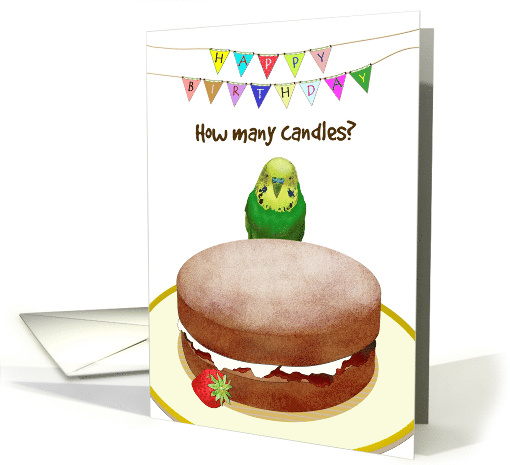 Green Parakeet Asking How Many Candles Sponge Cake Birthday card