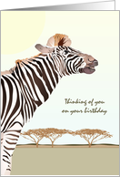 Birthday Zebra Out On Open Plains Looking Toward The Sky card