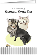 National Kitten Day Cute Kittens And Mouse Toy card