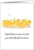 New Pet Chicks One Dozen Little Fluffy Balls Of Cuteness card