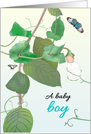 Congratulations Baby Boy Pea Tendrils Supporting Baby Butterflies card