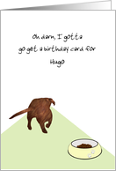 Birthday Dog Turning From Food Bowl Running Off To Get Birthday Card
