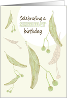 Birthday In Summer Tilia Tree Seeds Drifting Down card