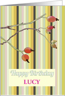 Birthday for Sister in Law Rosehips on Twigs Colorful Stripes card