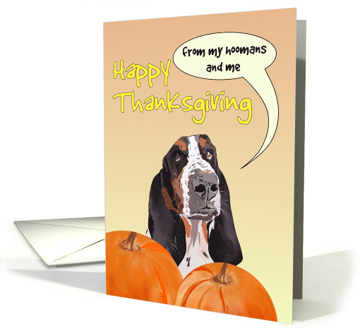 Thanksgiving from Basset Hound Pet Dog and Hoomans card (1797420)