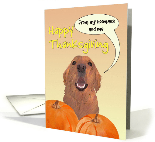 Thanksgiving from Retriever Pet Dog and Hoomans card (1797962)