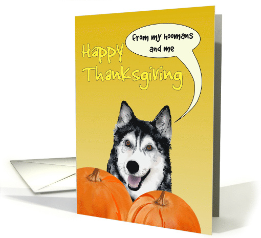 Thanksgiving from Husky Pet Dog and Hoomans card (1797966)