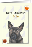 Custom Thanksgiving for German Shepherd Roast Turkey and Pumpkin card