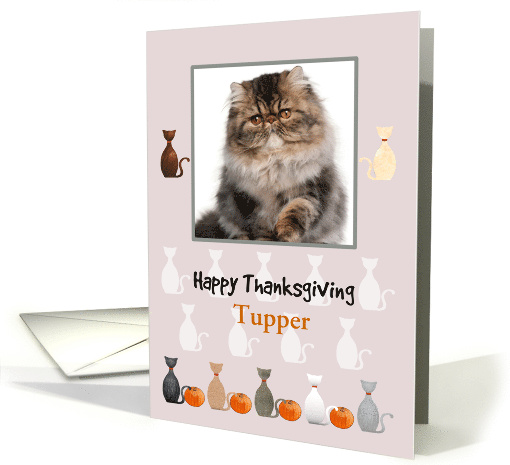 Thanksgiving Cartoon Cat Profiles and Pumpkins Custom Photo card