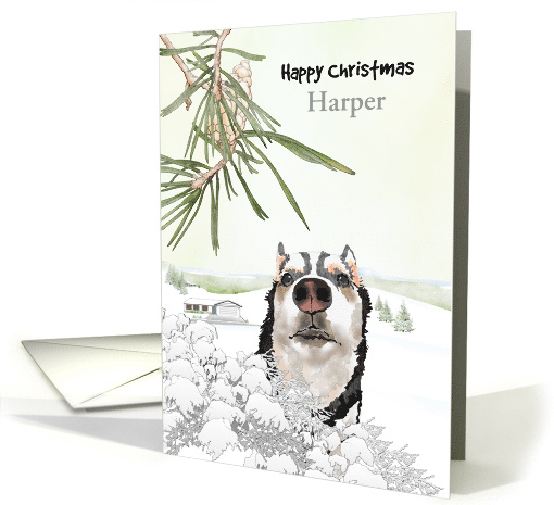 Christmas for Fur Baby Husky Out and About in the Snow card (1803526)