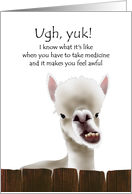 Pediatric Cancer Patient Llama Sharing Feel Better Wishes card