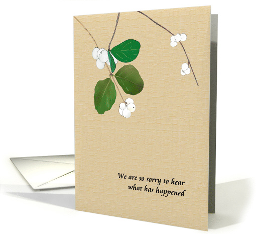 Sympathy Sudden Tragic Loss of Son Snowberries card (1809726)