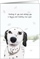 Dalmatian Conveying Happy Healthy New Year Snow Covered Fields card