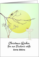 Christmas for Pastor’s Wife Birds Perched on Branch and BIrd Bath card