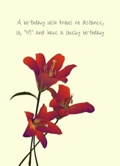 Birthday for...