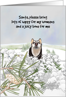 Husky Waiting for Santa Snow Scene Countryside May Your Wish Come True card