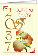Chinese New Year of The Snake 2037 Abstract Snake and Peaches card
