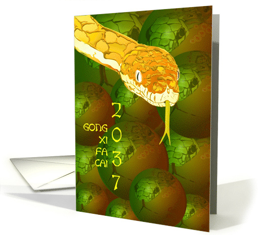Chinese New Year of The Snake 2037 Snake Reflection in Baubles card