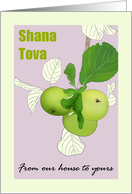 Shana Tova Our House to Yours Green Apples on Branch Rosh Hashanah card
