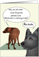 Passing Veterinary Licensing Exam Two Dogs Chatting To Each Other card