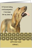 Bloodhound Ready To Take Part in Birthday Photo Custom Birthday card