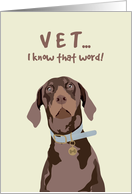 Vet Retiring Pet Dog Hearing Word VET Looking Worried card